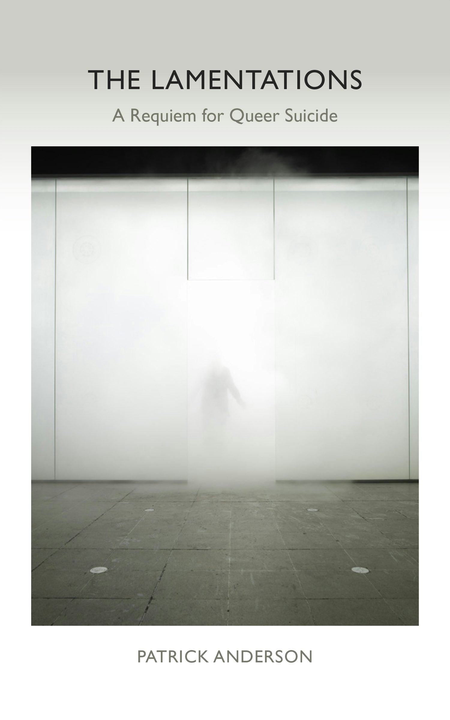 Book cover image for The Lamentations ISBN: 9781531508289